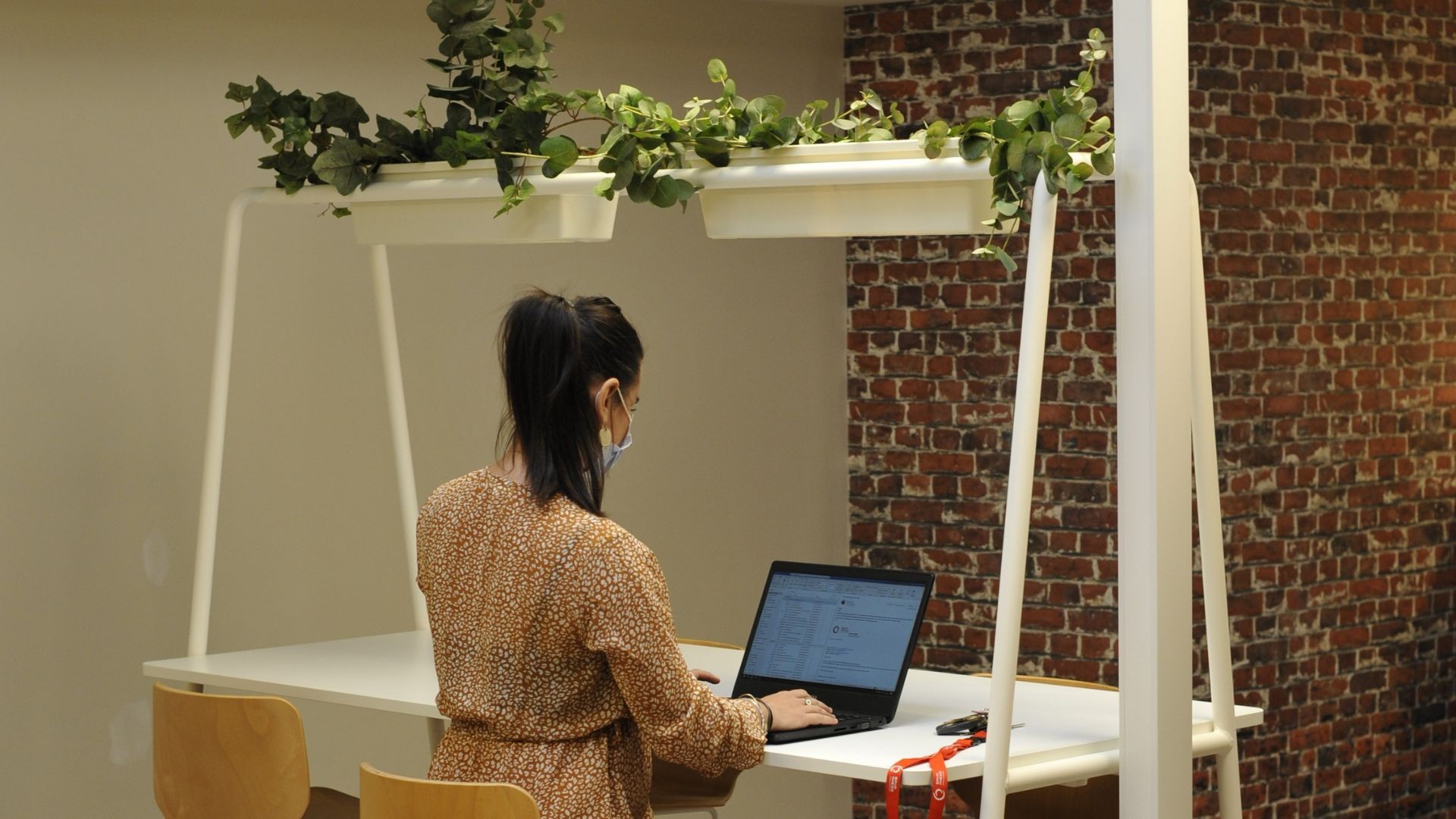Coworking-Baya