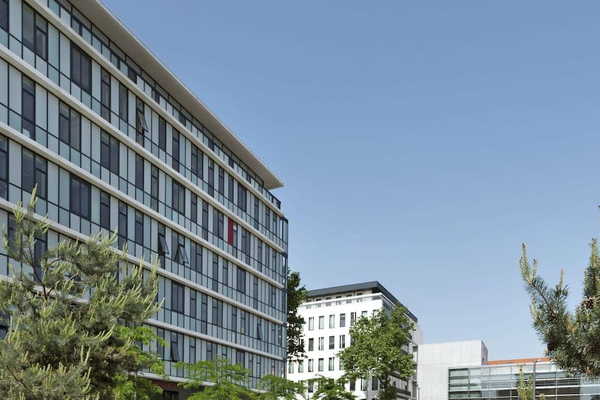 Coworking à Lyon : Le guide ultime pour booster le networking de votre startup à Confluence