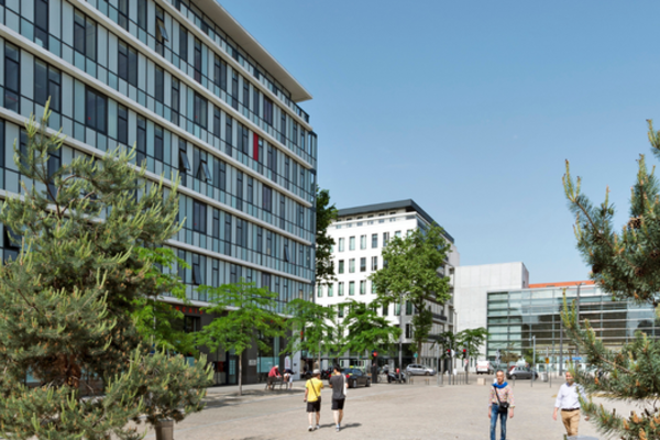 Les tendances du coworking en 2025 : pourquoi Sophia Antipolis attire de plus en plus d’entreprises ?